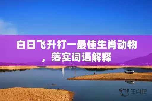 白日飞升打一最佳生肖动物，落实词语解释插图