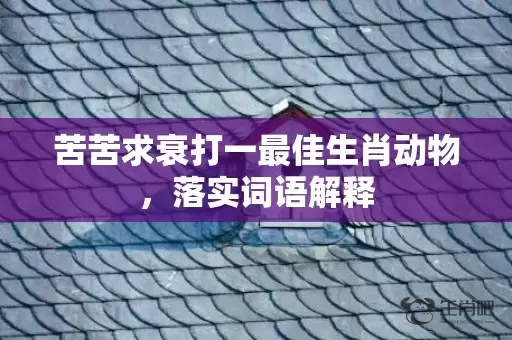 苦苦求衰打一最佳生肖动物，落实词语解释插图