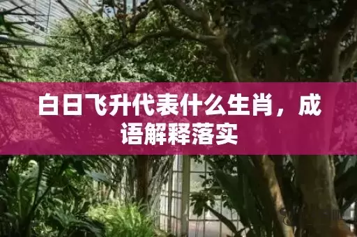 白日飞升代表什么生肖，成语解释落实插图