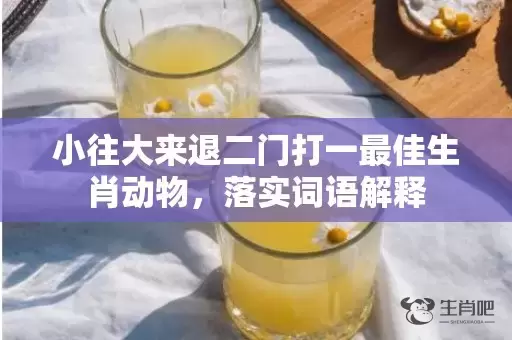 小往大来退二门打一最佳生肖动物，落实词语解释插图