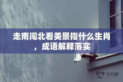 走南闯北看美景指什么生肖，成语解释落实插图