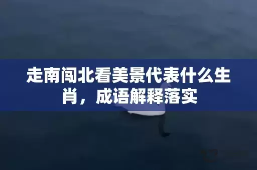 走南闯北看美景代表什么生肖，成语解释落实插图