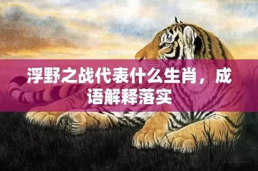 浮野之战代表什么生肖，成语解释落实插图
