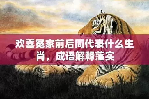 欢喜冤家前后同代表什么生肖，成语解释落实插图