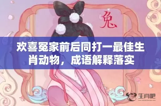 欢喜冤家前后同打一最佳生肖动物，成语解释落实插图