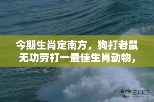 今期生肖定南方，狗打老鼠无功劳打一最佳生肖动物，落实词语解释插图