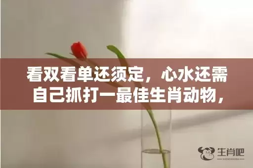 看双看单还须定，心水还需自己抓打一最佳生肖动物，落实词语解释插图