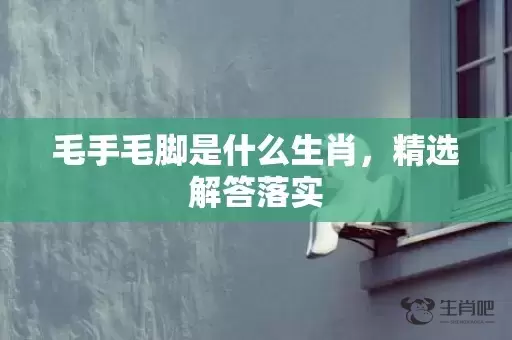 毛手毛脚是什么生肖，精选解答落实插图