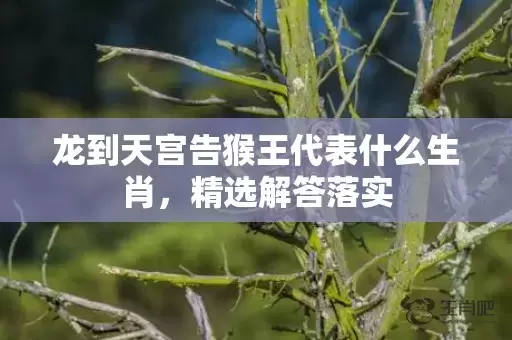 龙到天宫告猴王代表什么生肖，精选解答落实插图