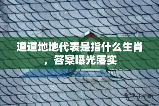 道道地地代表是指什么生肖，答案曝光落实插图
