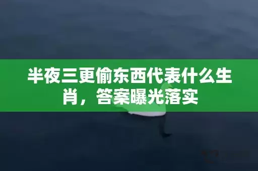 半夜三更偷东西代表什么生肖，答案曝光落实插图