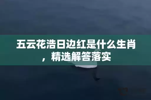 五云花浩日边红是什么生肖，精选解答落实插图