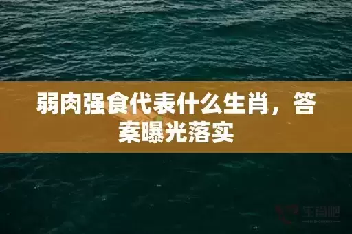 弱肉强食代表什么生肖，答案曝光落实插图