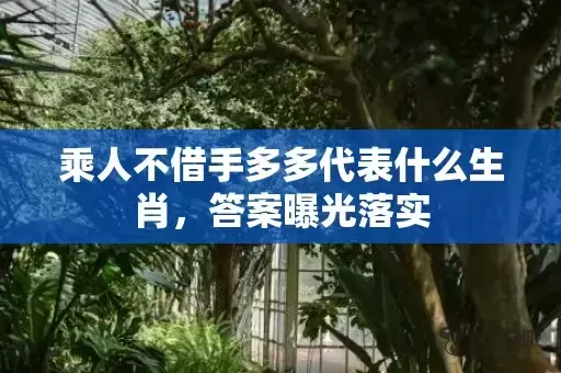 乘人不借手多多代表什么生肖，答案曝光落实插图