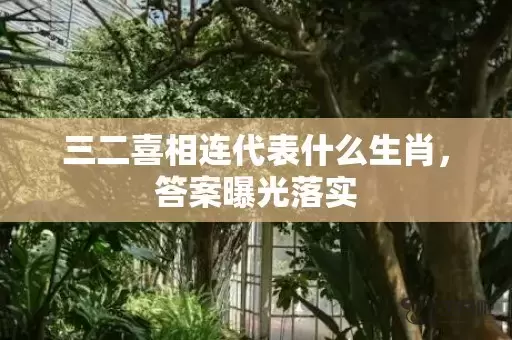 三二喜相连代表什么生肖，答案曝光落实插图
