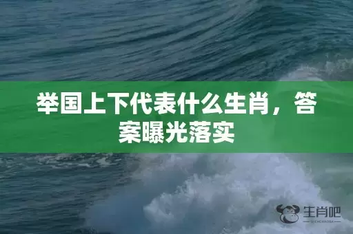 举国上下代表什么生肖，答案曝光落实插图