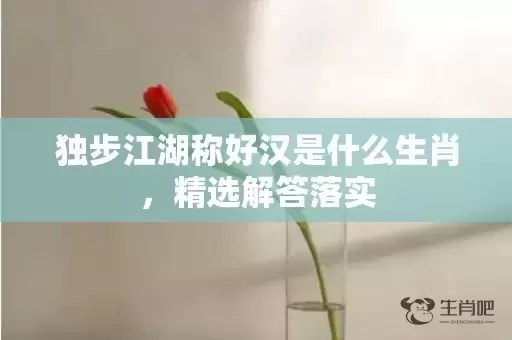独步江湖称好汉是什么生肖，精选解答落实插图