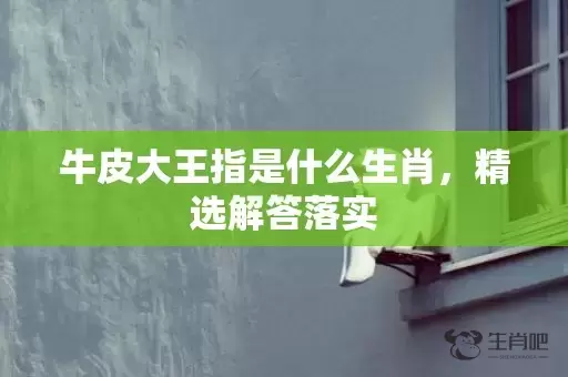 牛皮大王指是什么生肖，精选解答落实插图