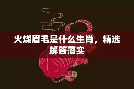 火烧眉毛是什么生肖，精选解答落实插图