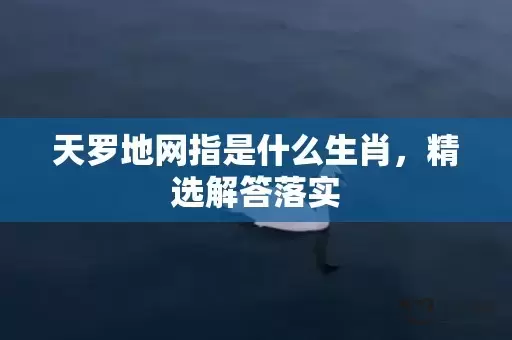 天罗地网指是什么生肖，精选解答落实插图