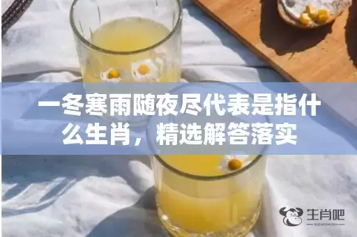 一冬寒雨随夜尽代表是指什么生肖，精选解答落实插图