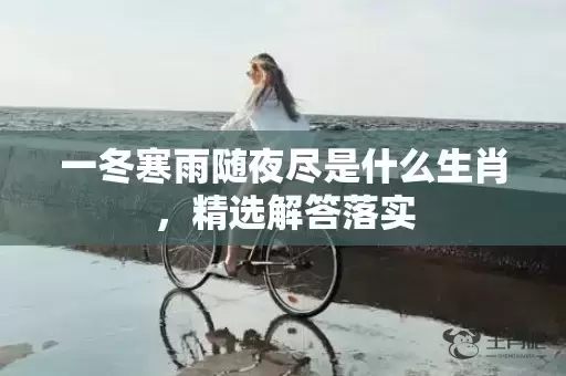 一冬寒雨随夜尽是什么生肖，精选解答落实插图