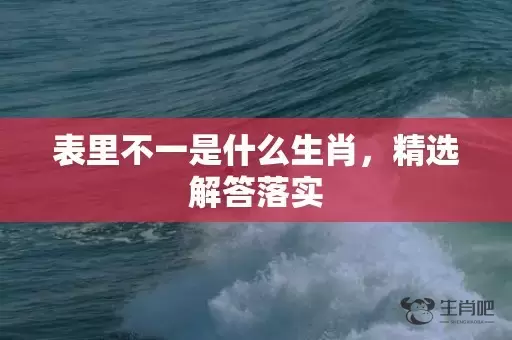表里不一是什么生肖，精选解答落实插图