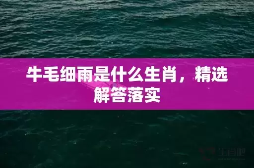 牛毛细雨是什么生肖，精选解答落实插图