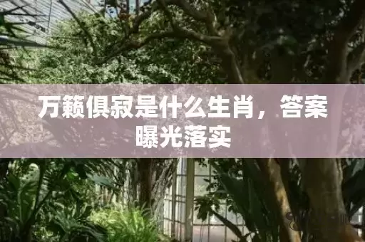 万籁俱寂是什么生肖，答案曝光落实插图