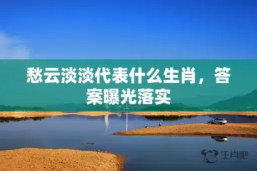 愁云淡淡代表什么生肖，答案曝光落实插图