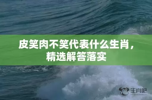 皮笑肉不笑代表什么生肖，精选解答落实插图