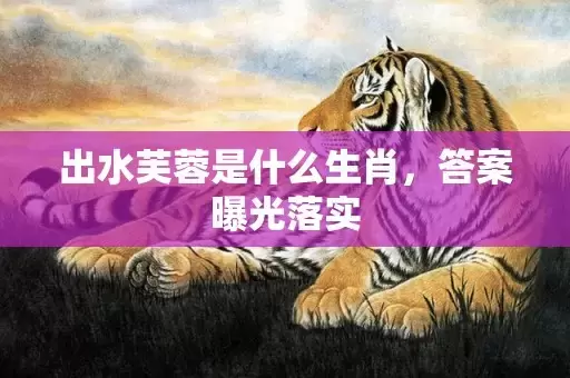出水芙蓉是什么生肖，答案曝光落实插图