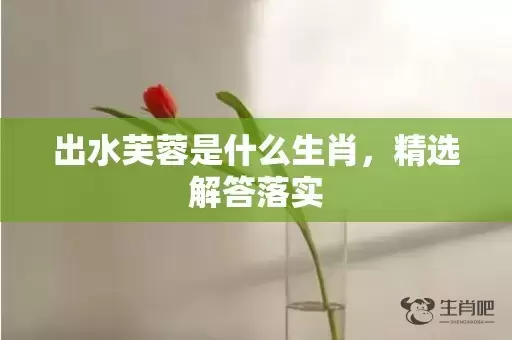 出水芙蓉是什么生肖，精选解答落实插图