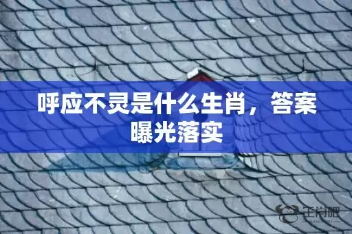 呼应不灵是什么生肖，答案曝光落实插图