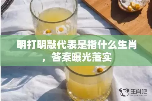 明打明敲代表是指什么生肖，答案曝光落实插图