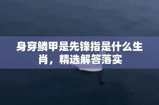 身穿鳞甲是先锋指是什么生肖，精选解答落实插图