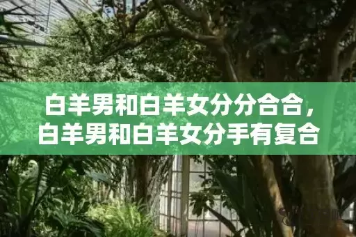 白羊男和白羊女分分合合，白羊男和白羊女分手有复合的可能吗插图