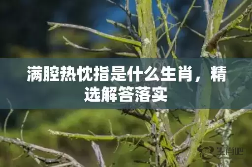 满腔热忱指是什么生肖，精选解答落实插图