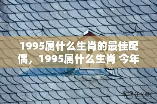 1995属什么生肖的最佳配偶，1995属什么生肖 今年多大了插图