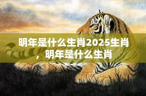 明年是什么生肖2025生肖，明年是什么生肖插图