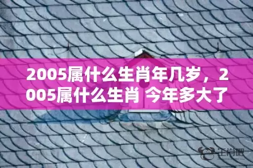 2005属什么生肖年几岁，2005属什么生肖 今年多大了插图