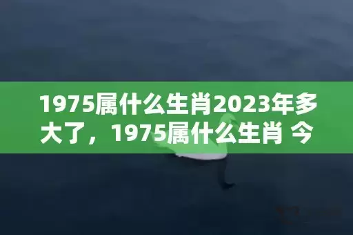 1975属什么生肖2023年多大了，1975属什么生肖 今年多大了插图