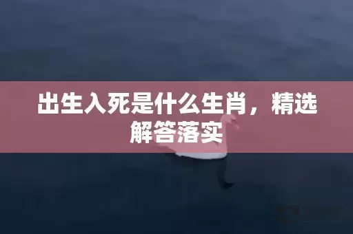 出生入死是什么生肖，精选解答落实插图