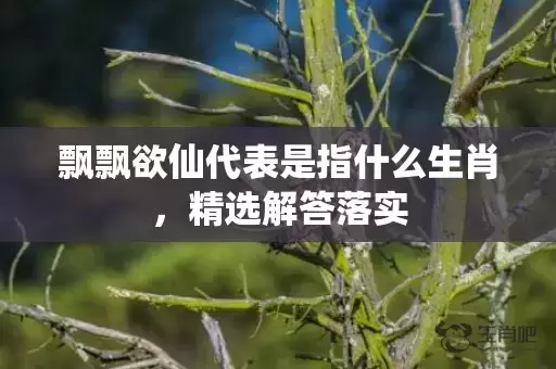 飘飘欲仙代表是指什么生肖，精选解答落实插图
