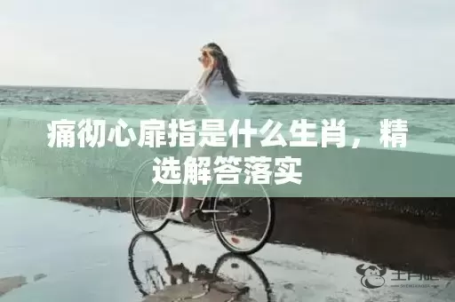 痛彻心扉指是什么生肖，精选解答落实插图