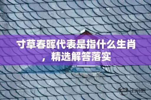 寸草春晖代表是指什么生肖，精选解答落实插图