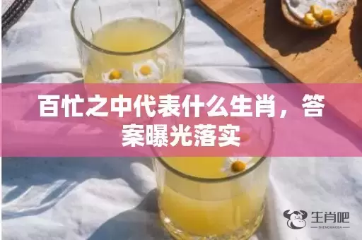 百忙之中代表什么生肖，答案曝光落实插图