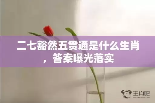 二七豁然五贯通是什么生肖，答案曝光落实插图