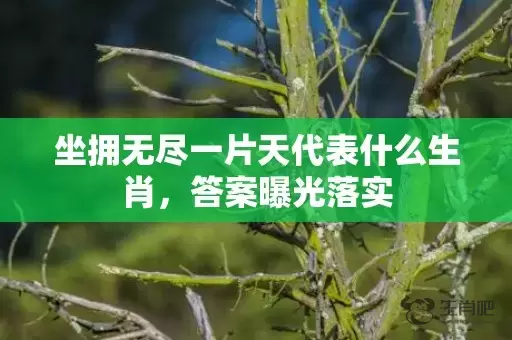 坐拥无尽一片天代表什么生肖，答案曝光落实插图