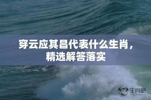 穿云应其昌代表什么生肖，精选解答落实插图